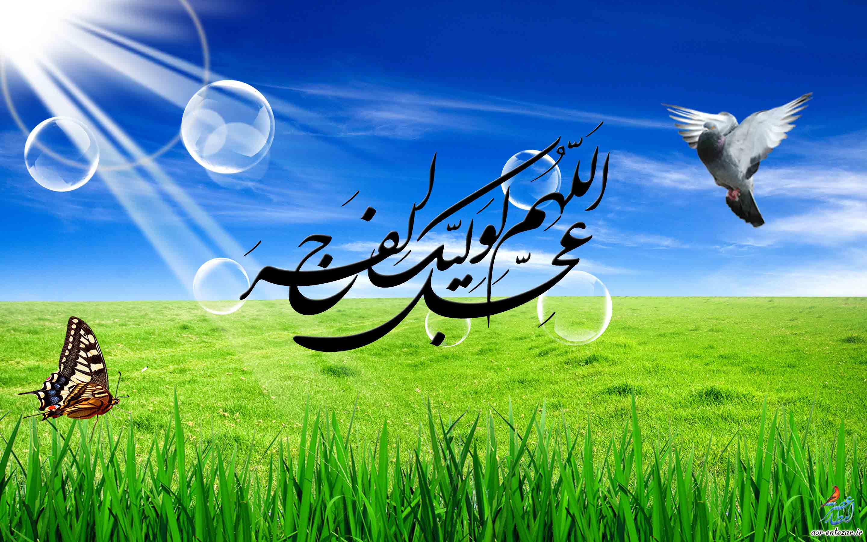 Image result for امام زمان