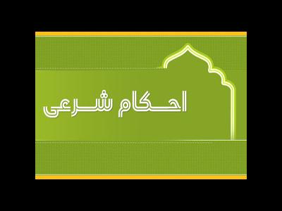 آیا داشتن مرجع تقلید برای هر مسلمان واجب است؟