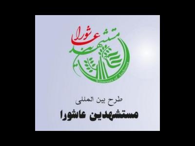 طرح بین المللی 