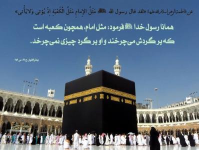 علت سکوت امام علی(ع) در جریان غصب خلافت