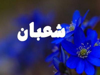 سبکی از زندگی که صلوات و مناجات شعبانیه ترسیم می کنند