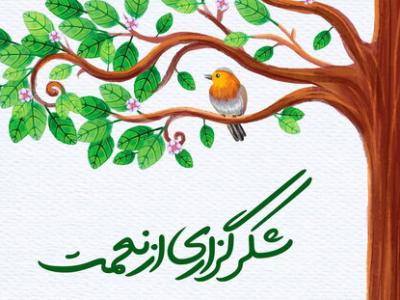 اینگونه شکر نعمت کنیم