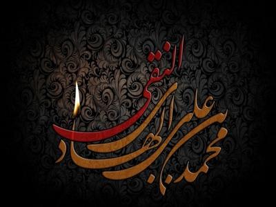 تاکید «امام هادی(ع)» بر زیارت «امام حسین (ع)»، صبر برترین سیره‌ امام دهم