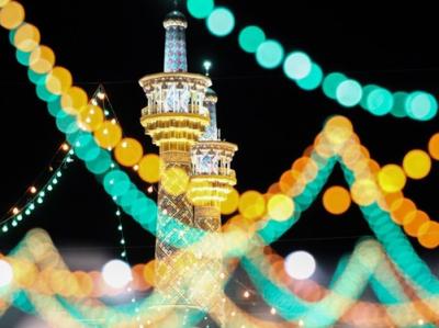 یک شاعر آئینی؛ مجالس جشن میلاد امام رضا(ع) بستر محکومیت «عنکبوت مقدس» است