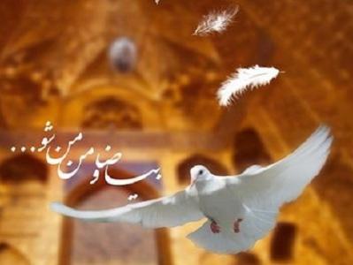 رفع گرفتاری با توسل به امام رضا (ع)