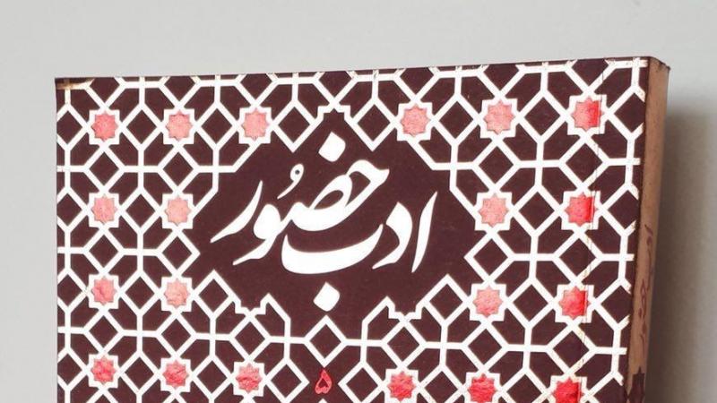 آداب و مراقبات زیارت امام حسین (ع) در راهپیمایی اربعین